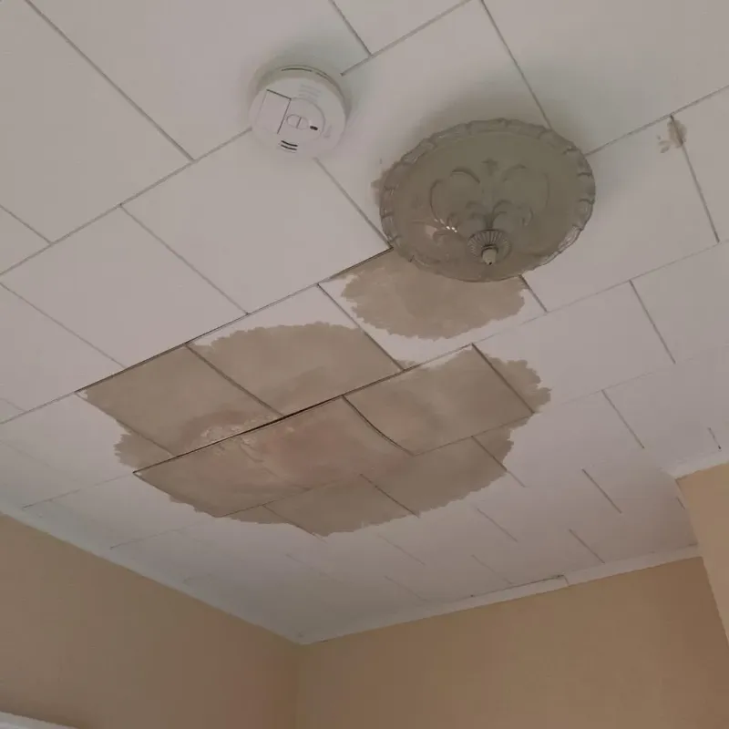 Ceiling Water Damage Repair in Ottawa County, OK