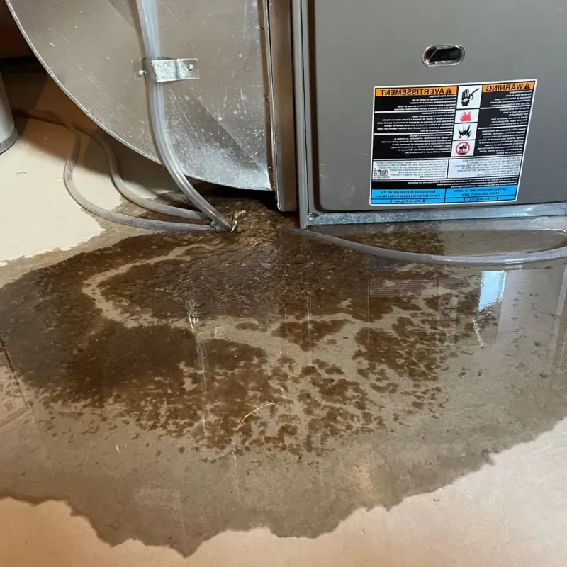 Pipe Burst and Leak Restoration in Ottawa County, OK